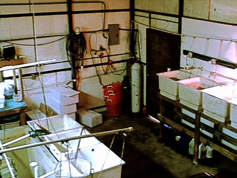 The packing and shipping room